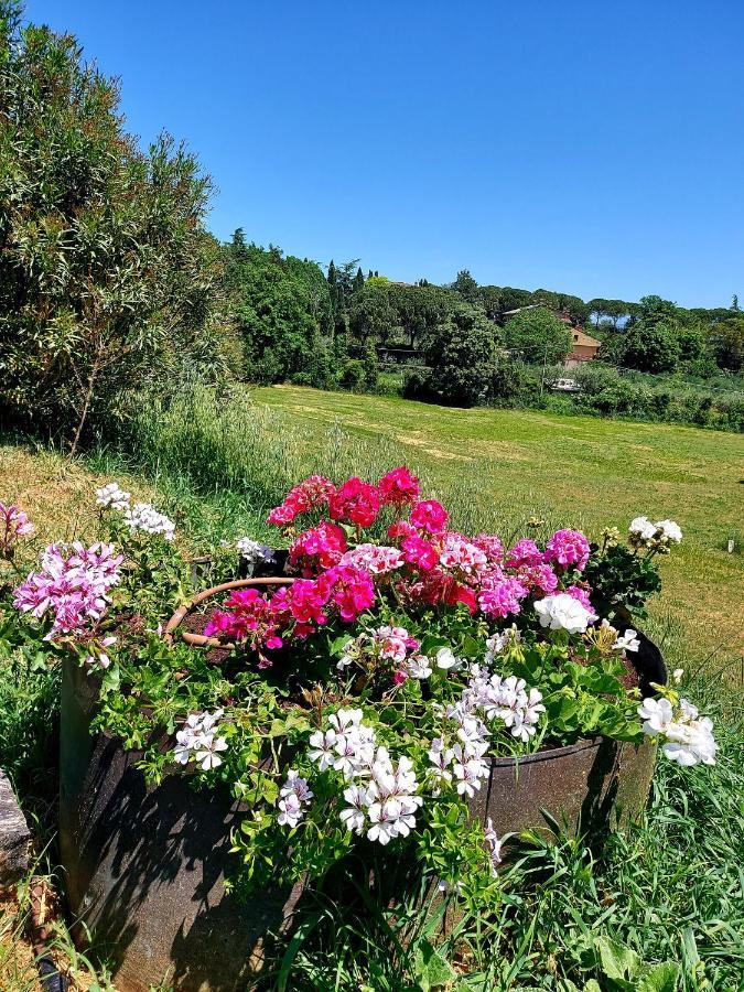 Hotel Montebello Park Perugia